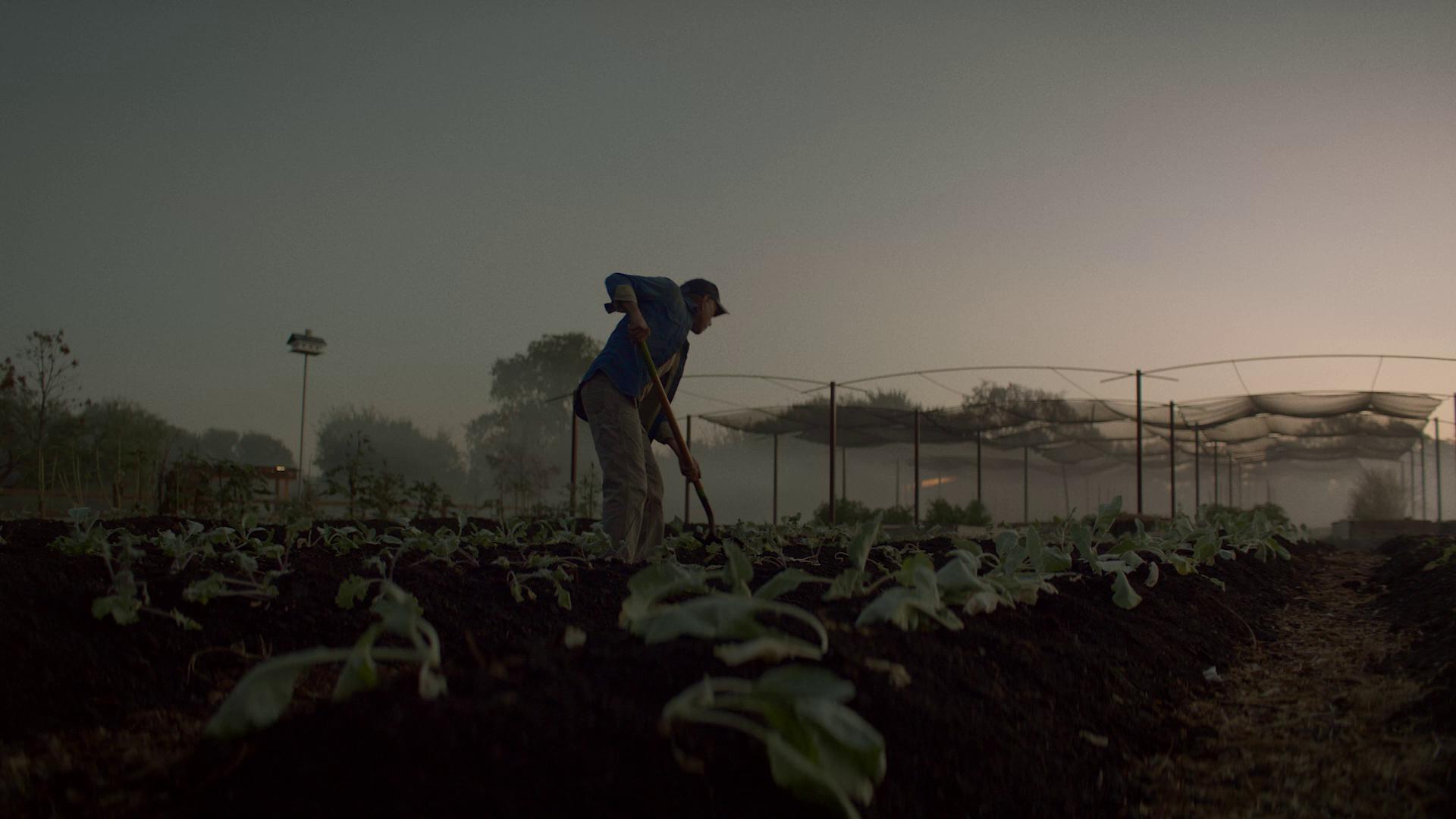 Toyota — Impossible Farmers Market